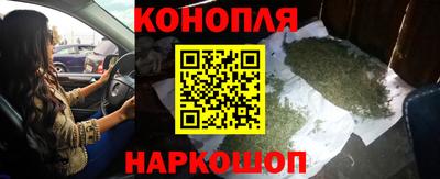дживик Гай