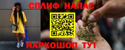 дживик Гай