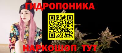 дурь Гатчина